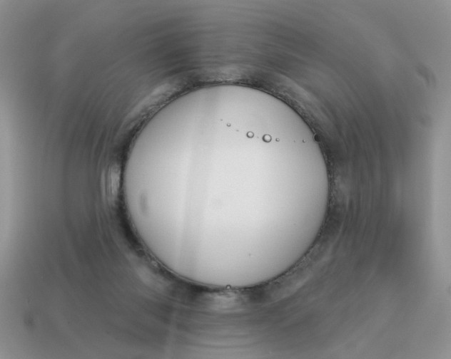 X0000115050118200911091433