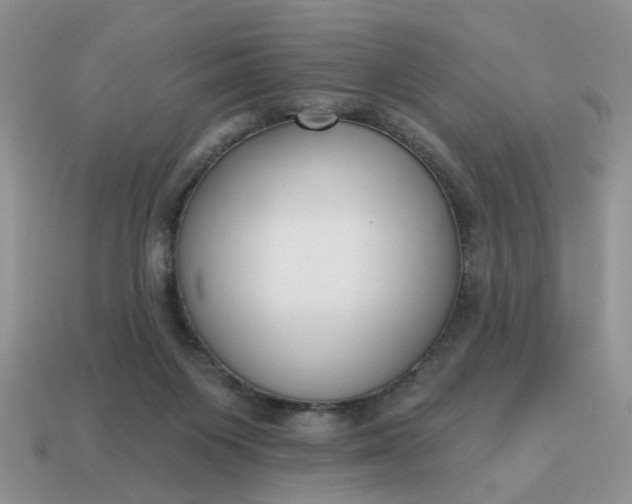X0000115050119200911091433