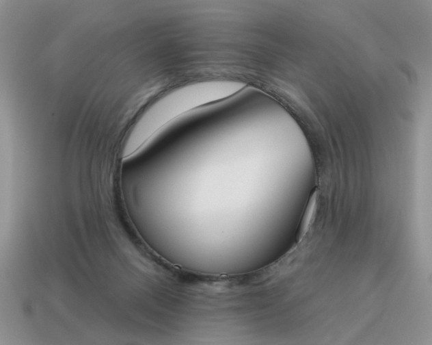 X0000115050120200911091433