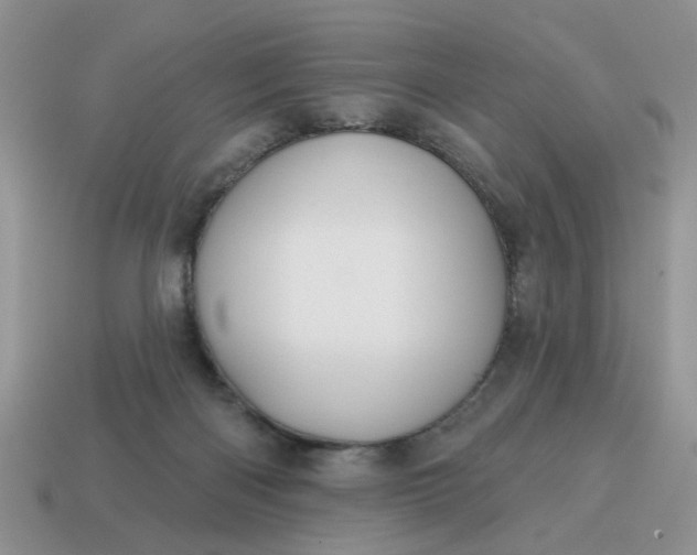 X0000115050122200911091433