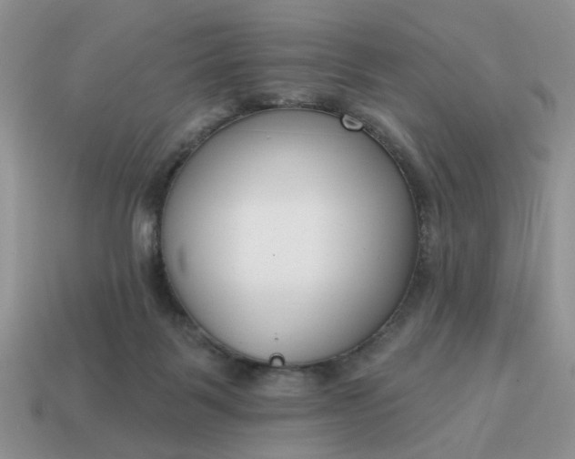 X0000115050123200911091433