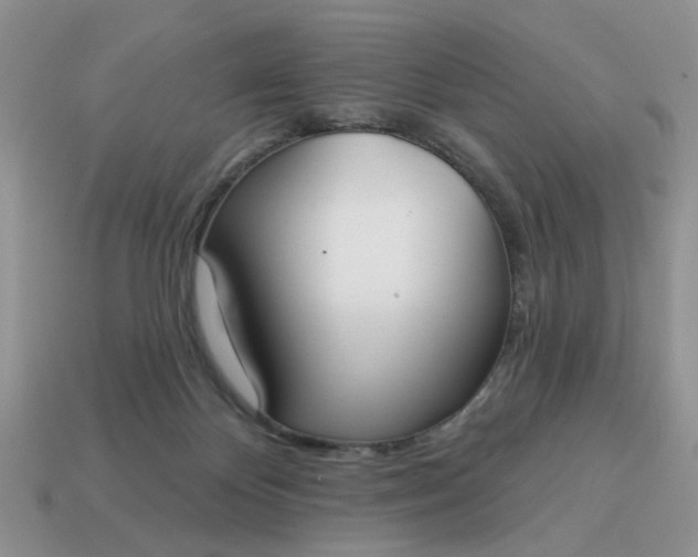 X0000115050124200911091433