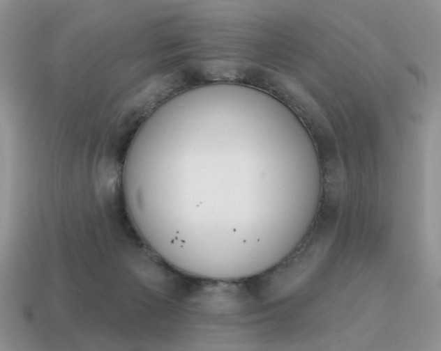 X0000115050125200911091433