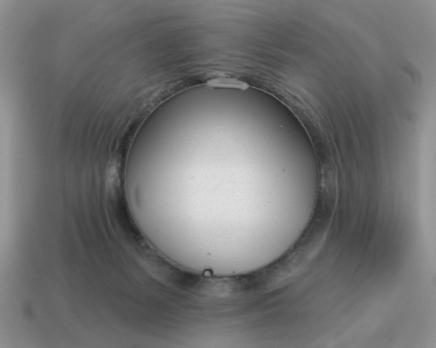 X0000115050127200911091433
