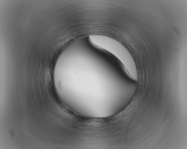 X0000115050128200911091433