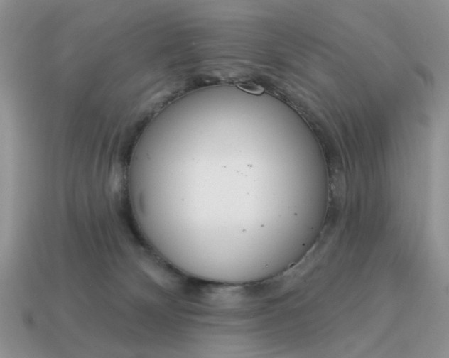 X0000115050132200911091433
