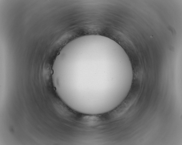 X0000115050133200911091433