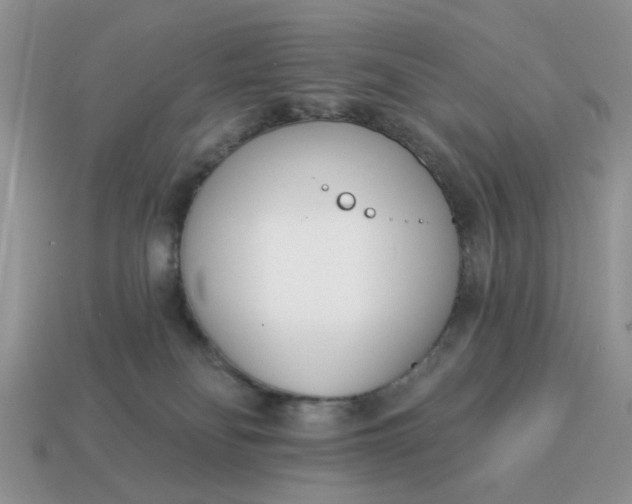 X0000115050134200911091433