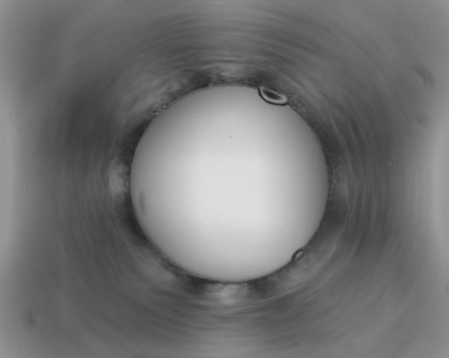 X0000115050135200911091433