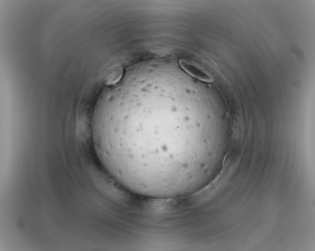 X0000115050136200911091433