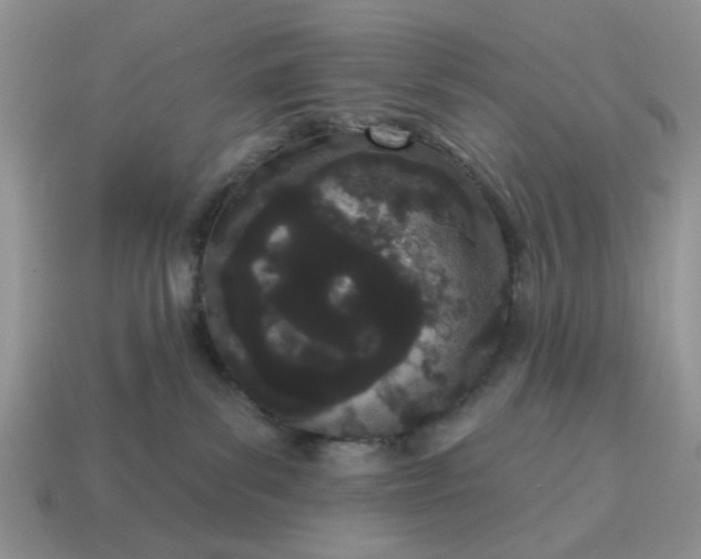 X0000115050139200911091433