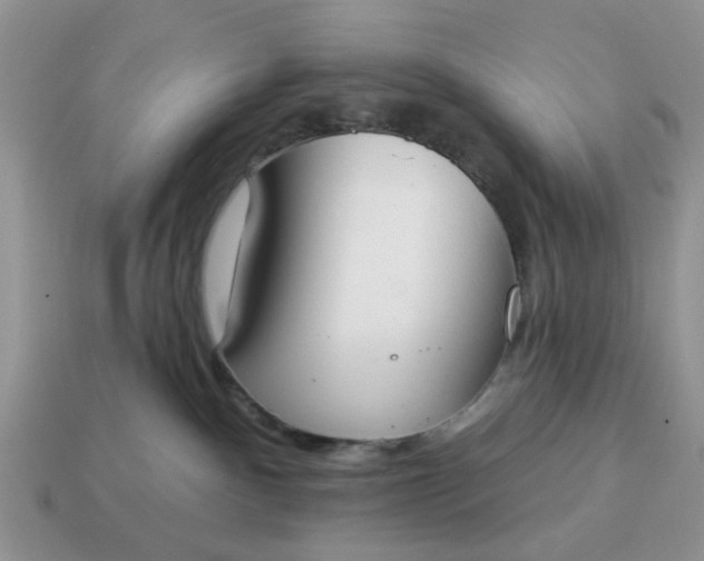 X0000115050140200911091433