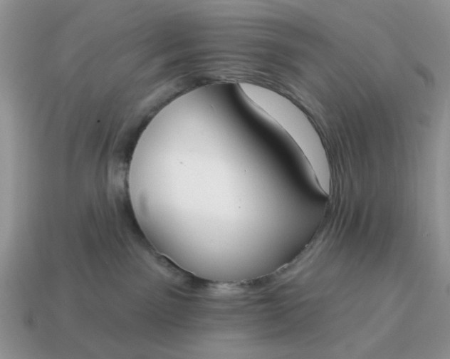 X0000115050141200911091433