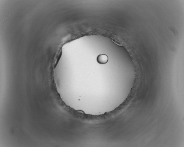 X0000115050144200911091433