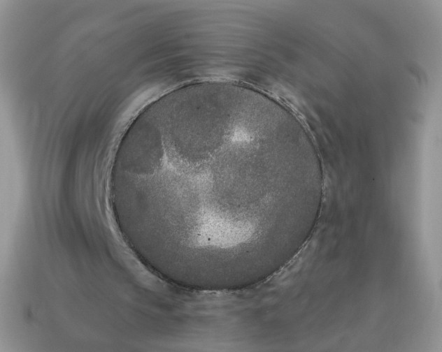 X0000115050145200911091432