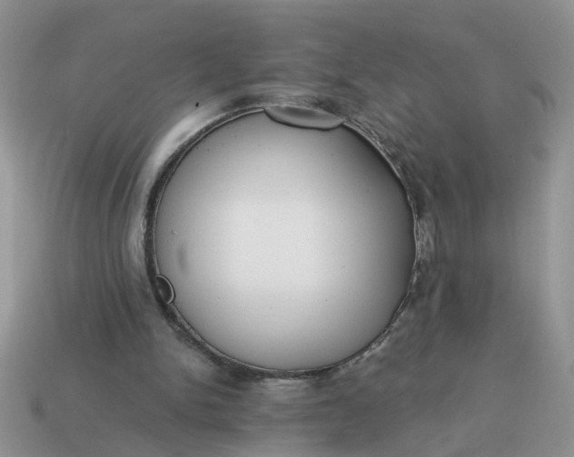 X0000115050150200911091432
