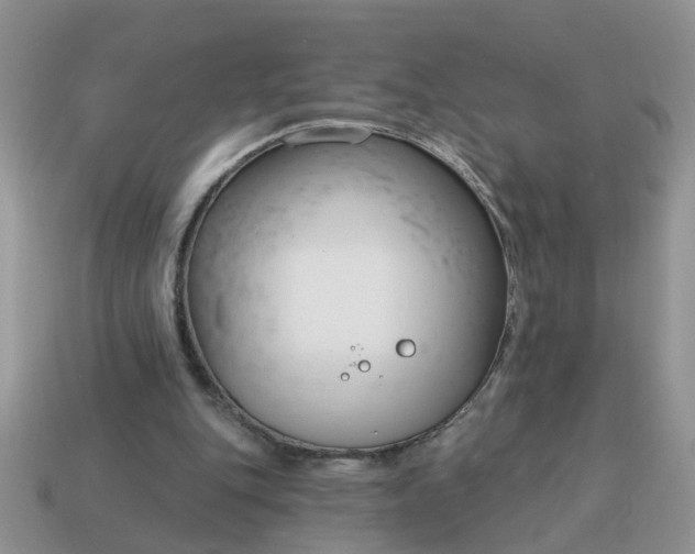 X0000115050151200911091432