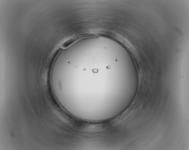 X0000115050155200911091432