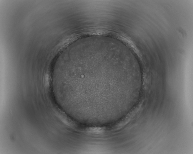 X0000115050161200911091432