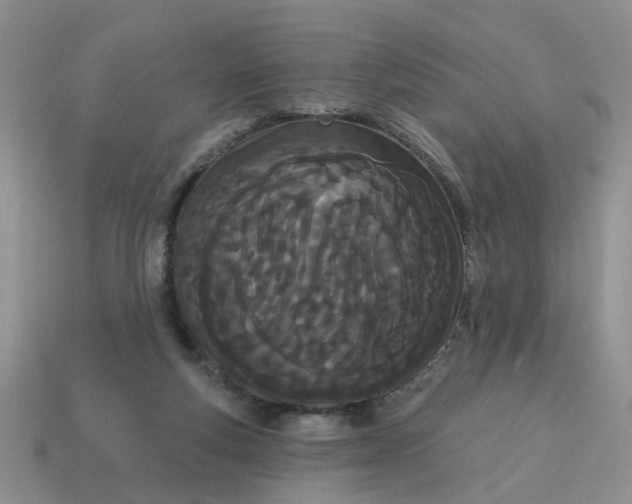 X0000115050163200911091432