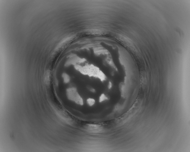 X0000115050167200911091432