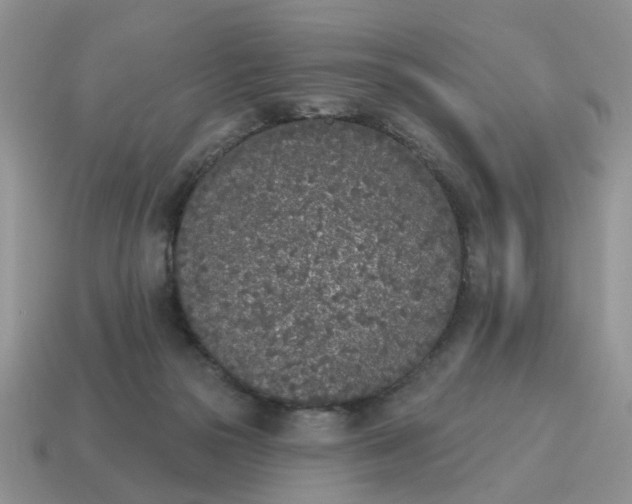 X0000115050169200911091432