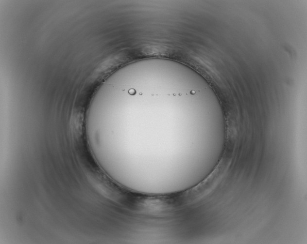 X0000115050171200911091432