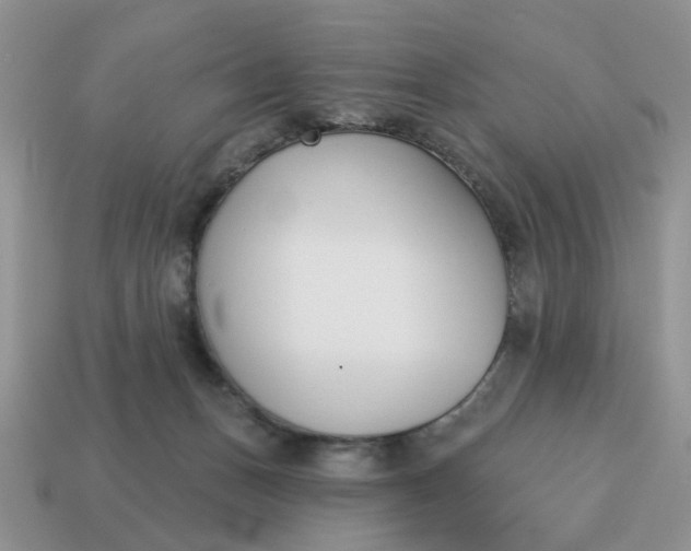 X0000115050175200911091433