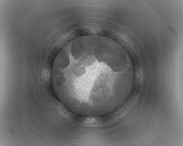 X0000115050177200911091433