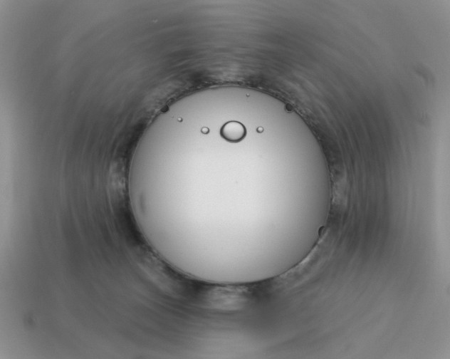 X0000115050179200911091433