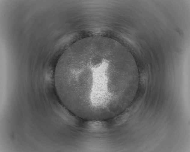 X0000115050181200911091433