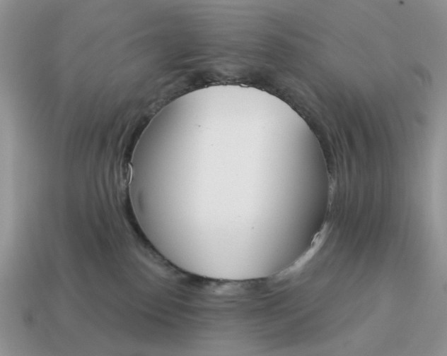 X0000115050186200911091433