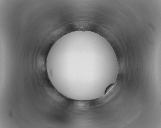X0000115050187200911091433