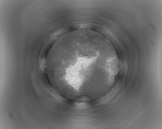 X0000115050189200911091433