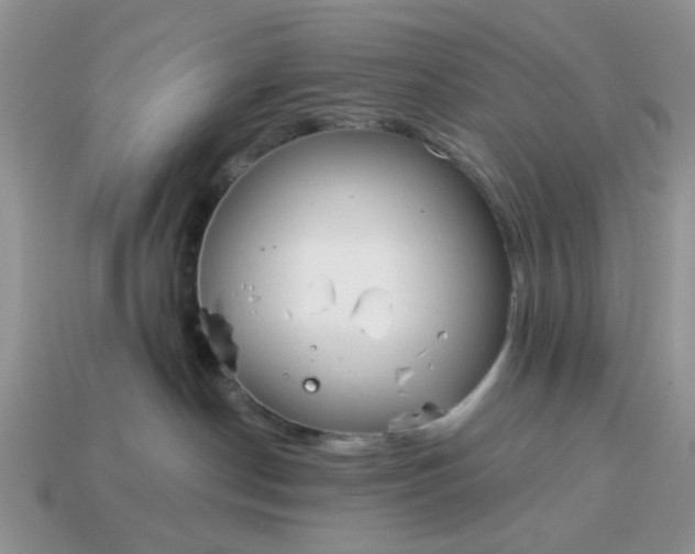 X0000115050190200911091433