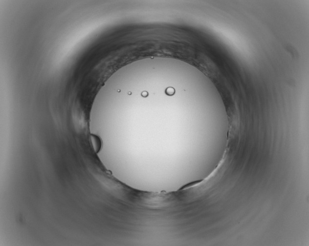X0000115050191200911091433