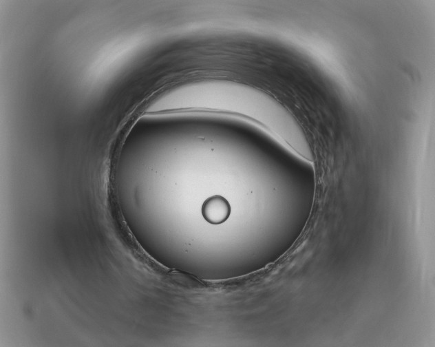 X0000115050194200911091432