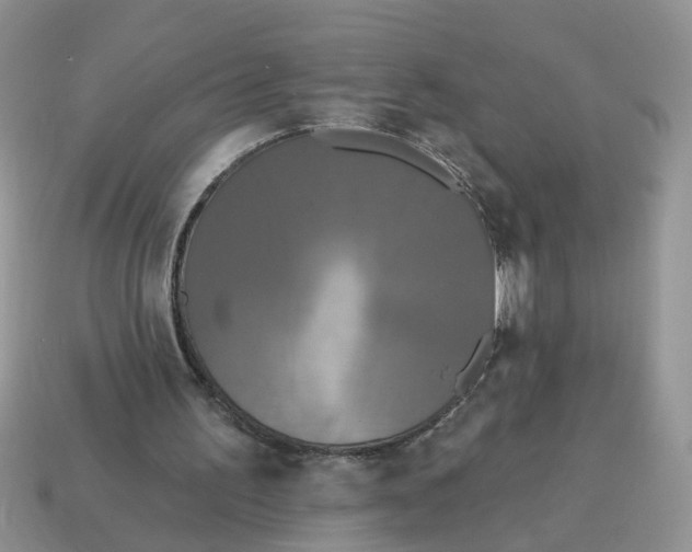 X0000115050195200911091432