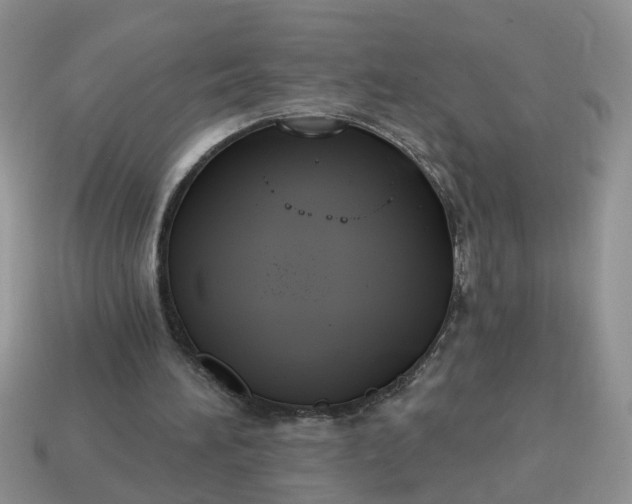 X0000115050196200911091432
