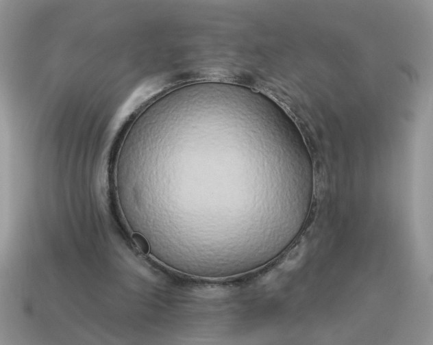 X0000115050198200911091432