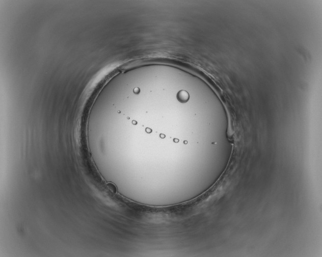 X0000115050200200911091432