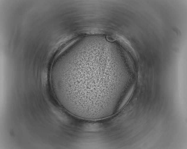 X0000115050202200911091432