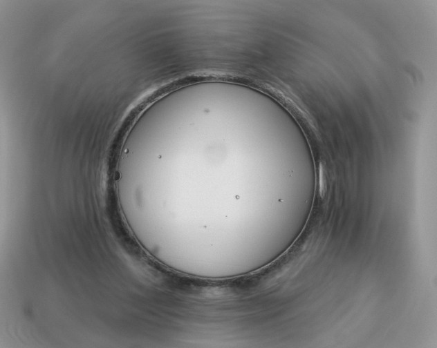 X0000115050204200911091432