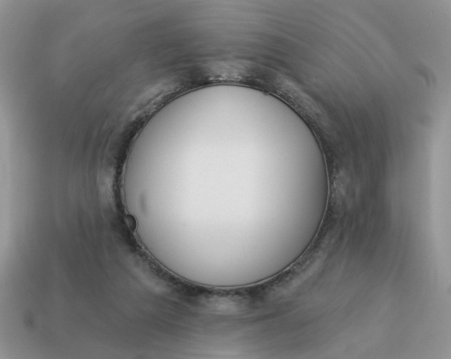 X0000115050209200911091432