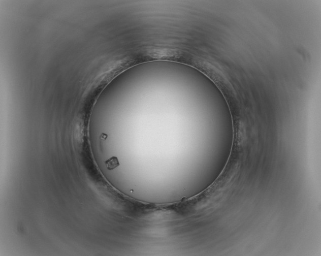 X0000115050210200911091432