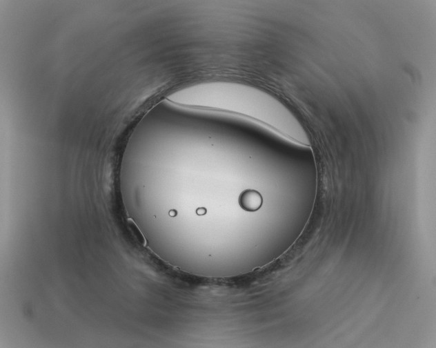 X0000115050211200911091432