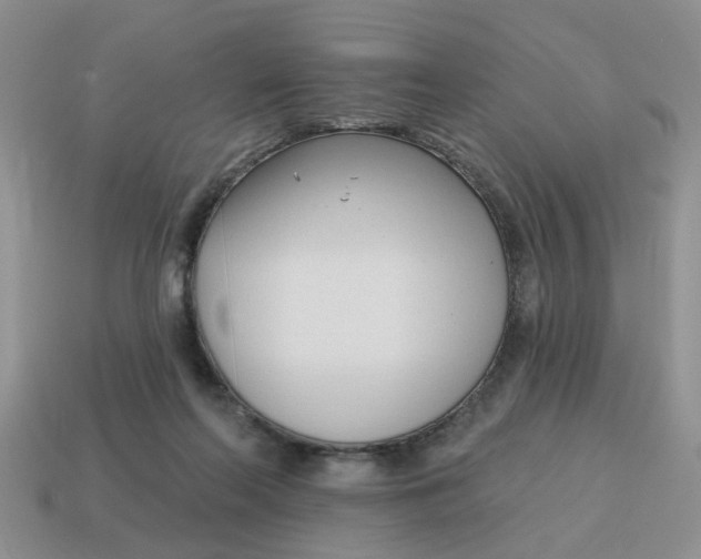 X0000115050214200911091432