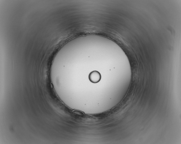X0000115050215200911091432