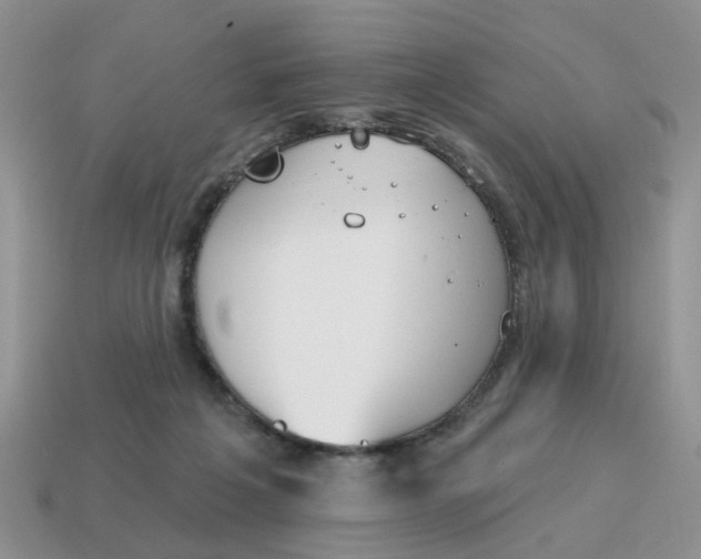 X0000115050217200911091432
