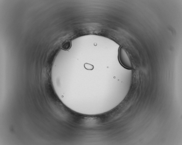 X0000115050218200911091432